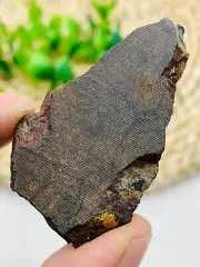Natural NWA chondrite meteorite slice classified find Sahara Desert 13.5g