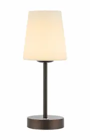 JONATHAN Y Carson Bohemian Farmhouse Iron Rechargeable Integrated Portable LED Table Lamp in Oil Rubbed Bronze at Nordstrom One Size