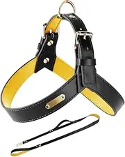 IUOUTG Soft Leather Dog Harness and Leash Set, Y-Style No Pull Step in Lightweight Easy Walk Vest with Safety Buckle for Small Puppies Cats