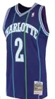 Larry Johnson Mitchell & Ness Men's Size XL Purple Charlotte Hornets Jersey