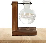 Desktop Glass Planter Bulb VaseBulb Plant Terrarium with Retro Solid Wooden Stand and Metal Holder for Hydroponics Home