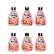 6x Northfork 250ml Hygienic Cleaning Liquid Hand Wash Guava, Papaya, Cucumber