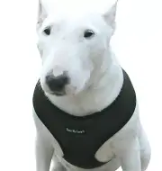 Dogs My Love Soft Mesh Walking Harness for Dogs and Puppies 6 Sizes Khaki