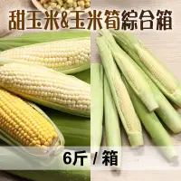 在飛比找台灣好農優惠-鮮綠農場 友善甜玉米&玉米筍綜合箱 6斤/箱