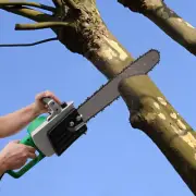 1300W Handheld Home Electric Wood Cutting Saw Cutter Pruning Chainsaw 78cm*16cm