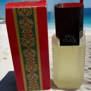 Avon Perfume EAU GIVREE, NEW