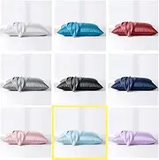 100% Mulberry Silk One Side Standard Pillow Case Slip Genuine Silk (1PC) (Aqua)