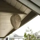 11x8.7 inch Eco Friendly Wasp Nest Decoy Repellent Hanging Wasp Deterrent