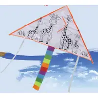 在飛比找蝦皮購物優惠-填色風箏 (含30米線) DIY彩繪風箏 空白風箏~蝶谷巴特