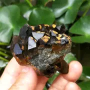 80g 51mm Rare Skeletal Smoky Black Quartz Crystal Cluster Point Specimen Healing