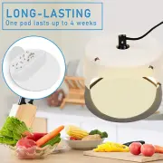 Trap Fruit Trap 24pcs Traps with Strong Stickiness for Fruit Flies Gnats Moths