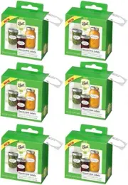 Jarden Ball Removable Dissolvable Canning Jar Labels 60 Per Box (Pack of 6)