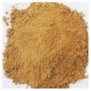 Maida Ladki Litsea Glutinosa Common Tallow Laurel Meda - Powder - Free Shipping