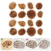 100 Pcs Songhwa Photo Props Mini Decorative Pinecones Ornaments for Kids