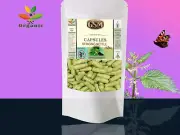 STINGING NETTLE Capsules ORGANIC Vegan 500mg NO FILLERS 100% Pure Extract