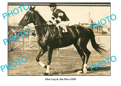 OLD 8x6 PHOTO HORSE RACING GREAT JIM PIKE RIDING PHAR LAP c1920