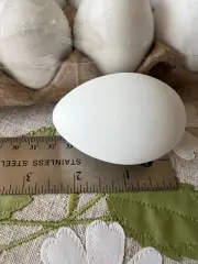 36 Faux Easter Eggs White Paintable Chicken Eggs Crafts
