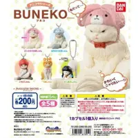 在飛比找蝦皮購物優惠-❖貓大爺玩具❖現貨 BANDAI 萬代 BUNEKO 趣味帽