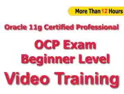 Oracle 11g Certified Professional OCP Beginner Level Video Training Tutorial CBT