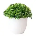 Decoration Grass Ball Table Bonsai Fake Flower Pot Plants Artificial Plants