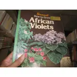 【一品冊】《AFRICAN VIOLETS》(R516)