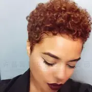 Short Afro Curly Wigs Synthentic Hair Pixie Cut Wigs None Lace for Black Women