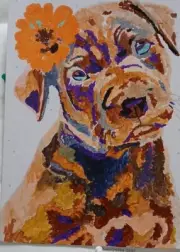Dog,Completed, Paint By Numbers.