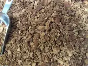 Pinto beans dehydrated survival emergency 3 lbs crypto accepted