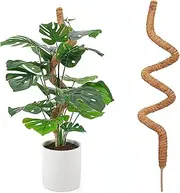 MASTERDUAN Moss Pole Monstera Plant Support,Bendable Plant Stakes for Indoor Plants,Tall Moss Poles for Climbing Plants Garden Trellis Plant Stick for Potted Plants, Pothos (H:90cm)