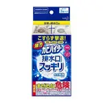 日本花王 排水口除菌清潔粉40G*3入 除臭 去污 防霉 附發票 日本進口 花王  公司貨