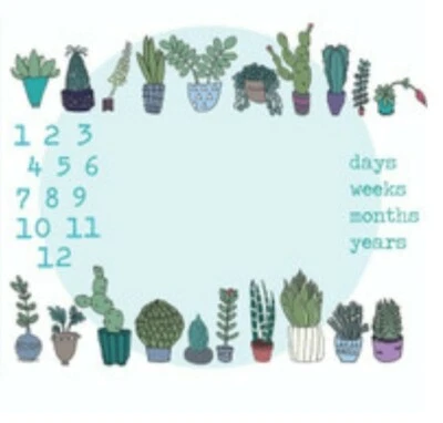 POTTED SUCCULENTS MILESTONE MAT QUILT PANEL * FREE POST *