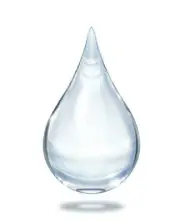 Fractionated Coconut Oil 100% pure Cosmetic grade