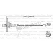 PAT Oxygen/Lambda Sensor Pre-Catalytic Converter/Manifold - EGO-473