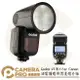 ◎相機專家◎ 免運 Godox 神牛 V1 Kit Canon 鋰電圓燈頭閃光燈組 Profoto A1 開年公司貨【跨店APP下單最高20%點數回饋】