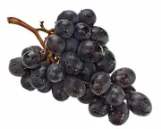 Fresh Black Seedless Grapes