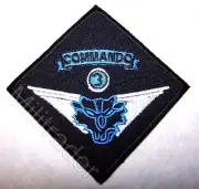 France French ISAF SOF 3rd Commando Patch
