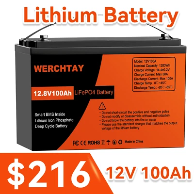 24V 100Ah Lithium Iron Battery 12V 200Ah LiFePO4 Replace AGM Solar Marine BMS RV