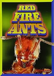 Red Fire Ants