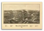 1887 Walden New York Vintage Old Panoramic NY City Map - 16x24