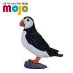 MOJO FUN動物模型 -大西洋海鸚