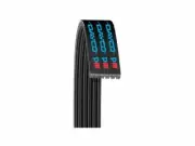 For 2016 Land Rover Range Rover Multi Rib Belt Main Drive Dayco 21782BP 3.0L V6 (for: Land Rover)