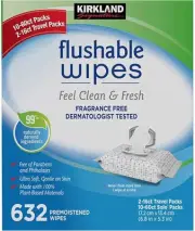 Kirkland Signature Moist Flushable Enhanced Cleansing & Freshness Ultra Soft ...