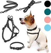PIPCO PETS - Superlite Walkies Bundle | Puppy Harness Set | Lightweight Harness, Collar, and Leads for Small Sensitive Dogs and Cats | Adjustable, Safe, Secure (Black, XXS)
