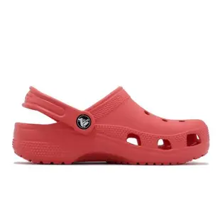 Crocs 洞洞鞋 Classic Clog K 中大童 西瓜紅 經典 克駱格 童鞋 涼拖鞋 卡駱馳 2069916VT