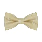 Paisley Bow Ties for Men Kids, Classic Adjustable Pre-Tied Large Champagne