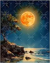 TAOPAOLAB Night Seascape Paint by Numbers Kit for Adults - DIY Full Moon Over Ocean Cliffs Painting on Canvas 16x20In, Acrylic Paint Set, Suitable for Beginners, Art for Home Decoration or Gifts