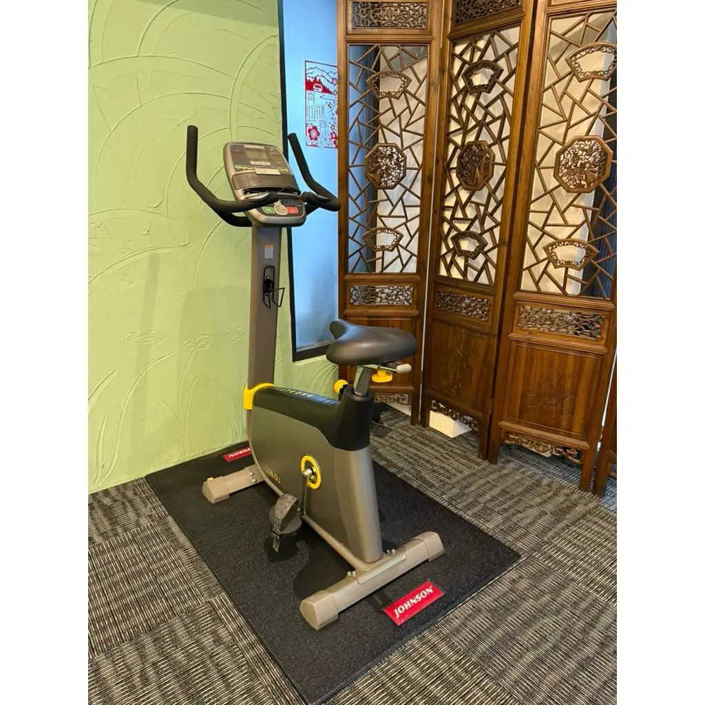 二手健身車飛輪的優惠比較- 2026年01月|飛比價格