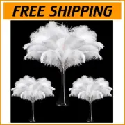 Fluffy 90 Pcs White Ostrich Feathers Assortment - Perfect for Weddings & Crafts