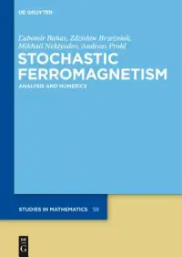 在飛比找博客來優惠-Stochastic Ferromagnetism: Ana