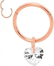 [365 Sleepers] 316L Surgical Steel 16G 8mm 10mm Gem Love Heart Hinged Hoop Segment Nose Ring Helix Tragus Septum Unisex Earring Body Piercing Jewelry
